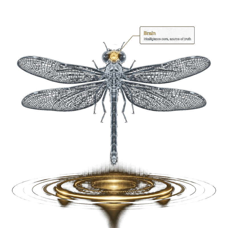 Brain module — Dragonfly OS